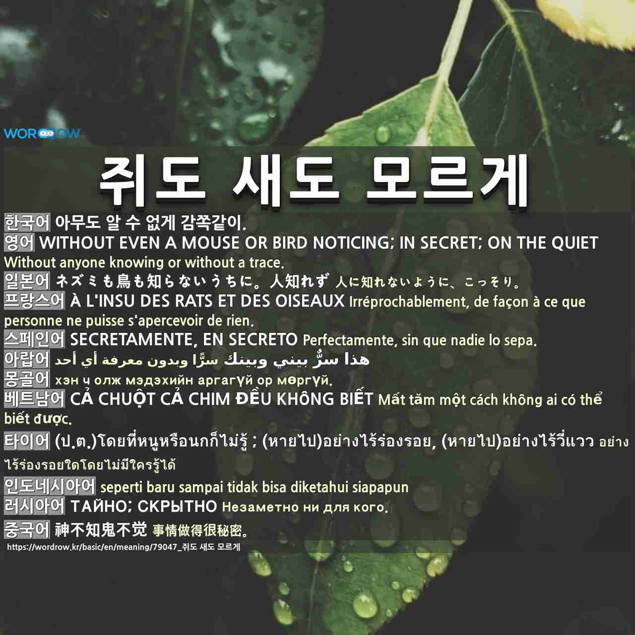 쥐도 새도 모르게: without even a mouse or bird noticing; in secret; on the quiet,ネズミも鳥も知らないうちに。人知れず,à l'insu des rats et des oiseaux,secretamente, en secreto,هذا سرٌّ بيني وبينك,,cả chuột cả chim đều không biết,(ป.ต.)โดยที่หนูหรือนกก็ไม่รู้ ; (หายไป)อย่างไร้ร่องรอย, (หายไป)อย่างไร้วี่แวว,,тайно; скрытно,神不知鬼不觉,